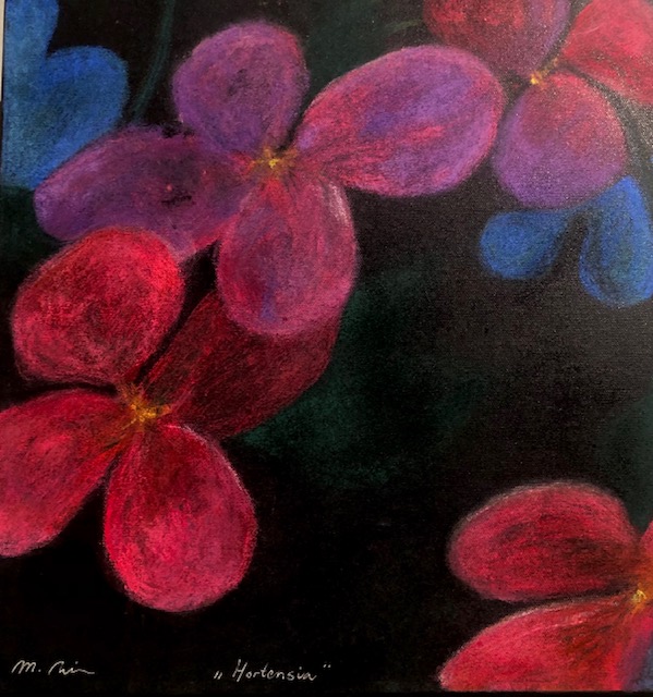 Hortensia